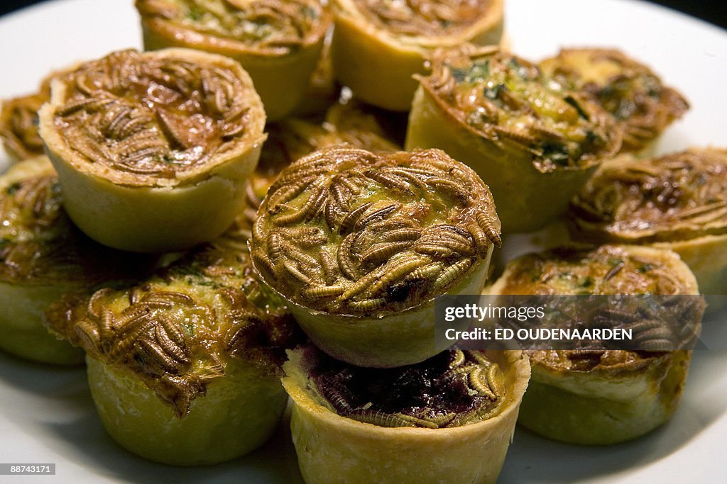 Mealworm pies are served in the canteen