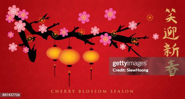 illustrations, cliparts, dessins animés et icônes de à la saison des cerisiers en fleur - lantern festival cherry blossom