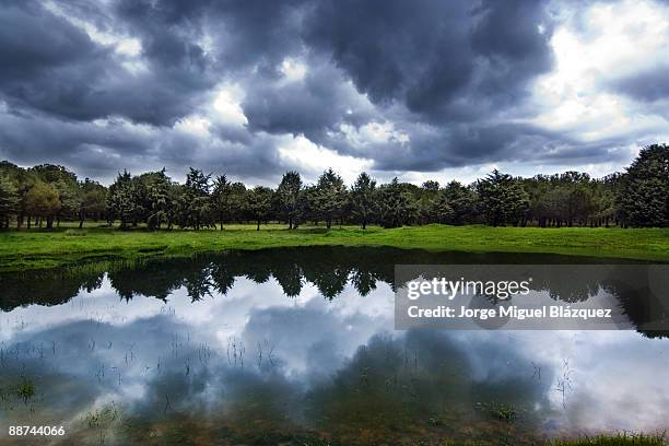 the pond - jorge miguel blázquez fotografías e imágenes de stock