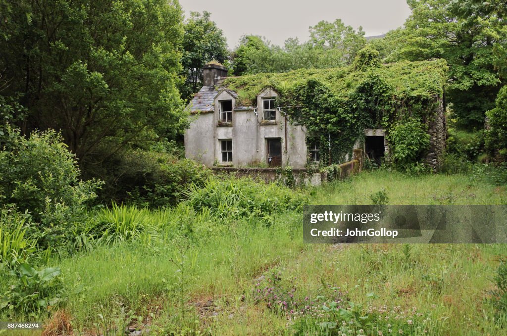 Abandoned Cottage