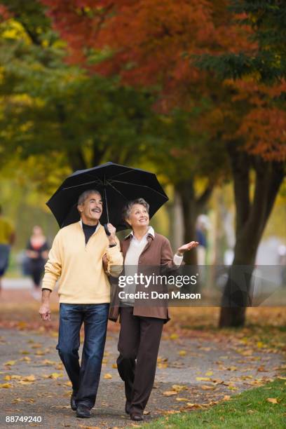 african couple walking with umbrella in autumn - seattle rain stock pictures, royalty-free photos & images