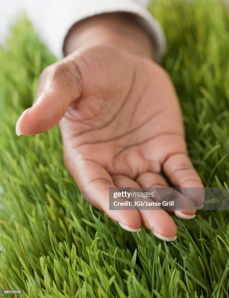 African woman's hand open in grass