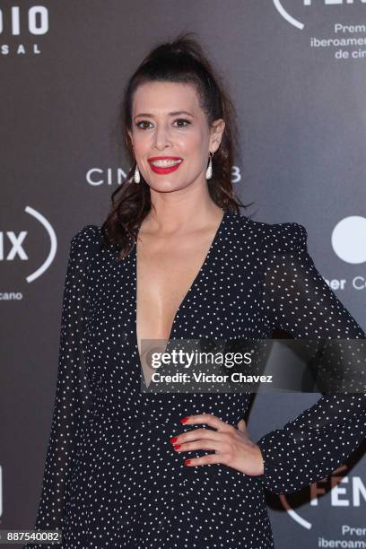 Angie Cepeda attends the Premio Iberoamericano De Cine Fenix 2017 at Teatro de La Ciudad on December 6, 2017 in Mexico City, Mexico.