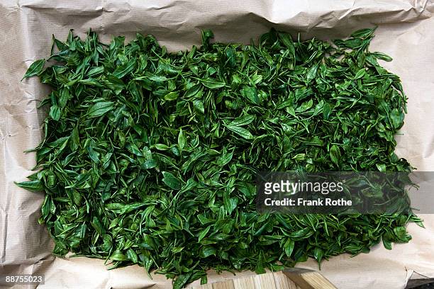 green tea leaves - tee stock-fotos und bilder