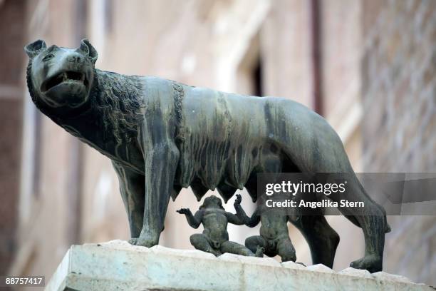 Remus Raccoon 222 Stock-Fotos und hochauflösende Bilder zu Romulus And Remus Statue ...