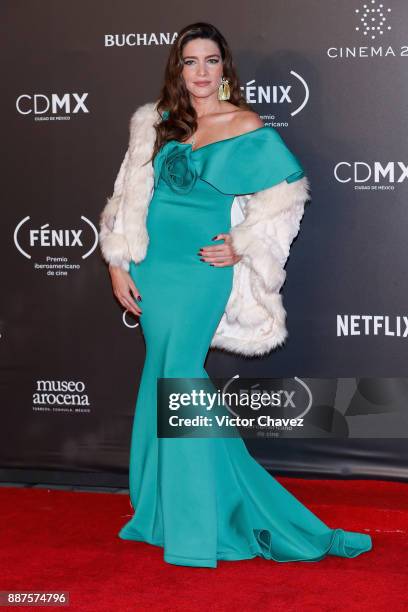 Adriana Fonseca attends the Premio Iberoamericano De Cine Fenix 2017 at Teatro de La Ciudad on December 6, 2017 in Mexico City, Mexico.