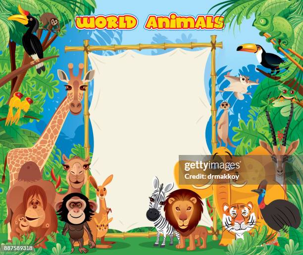 world animals - baboon stock illustrations
