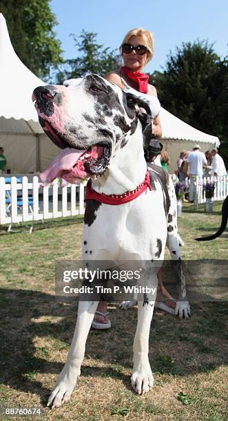 Jilly Johnson at the Macmillan Dog Day in aid of Macmillan Cancer Support in Royal Chelsea Hospital on June 30, 2009 in London, England.