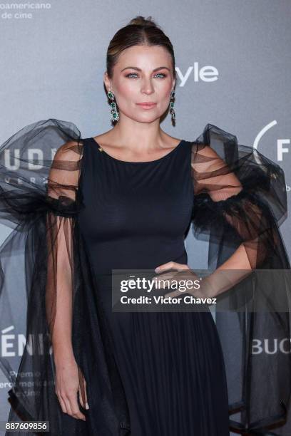 Ludwika Paleta attends the Premio Iberoamericano De Cine Fenix 2017 at Teatro de La Ciudad on December 6, 2017 in Mexico City, Mexico.