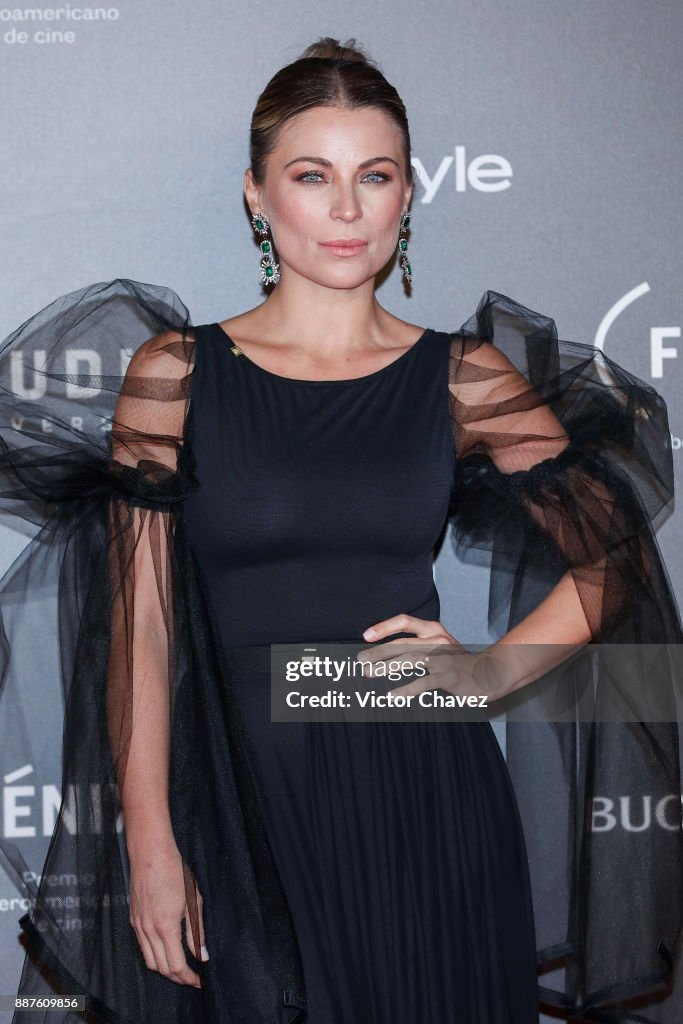 Premio Iberoamericano De Cine Fenix 2017 - Red Carpet
