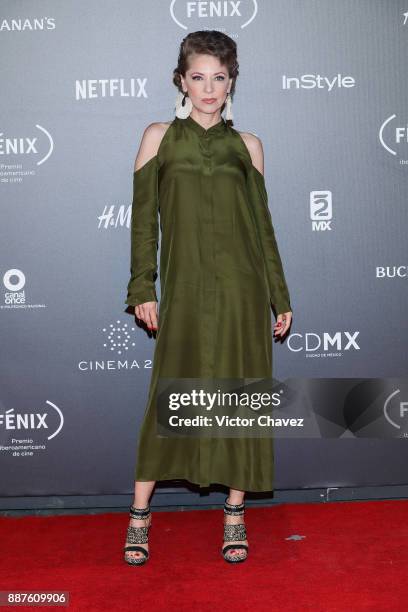 Edith Gonzalez attends the Premio Iberoamericano De Cine Fenix 2017 at Teatro de La Ciudad on December 6, 2017 in Mexico City, Mexico.
