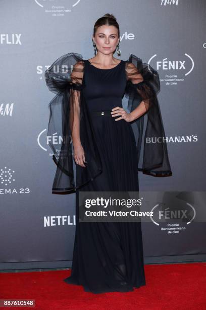 Ludwika Paleta attends the Premio Iberoamericano De Cine Fenix 2017 at Teatro de La Ciudad on December 6, 2017 in Mexico City, Mexico.