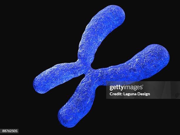 illustration of metaphase eukaryotic chromosome - metaphase 幅插畫檔、美工圖案、卡通及圖標