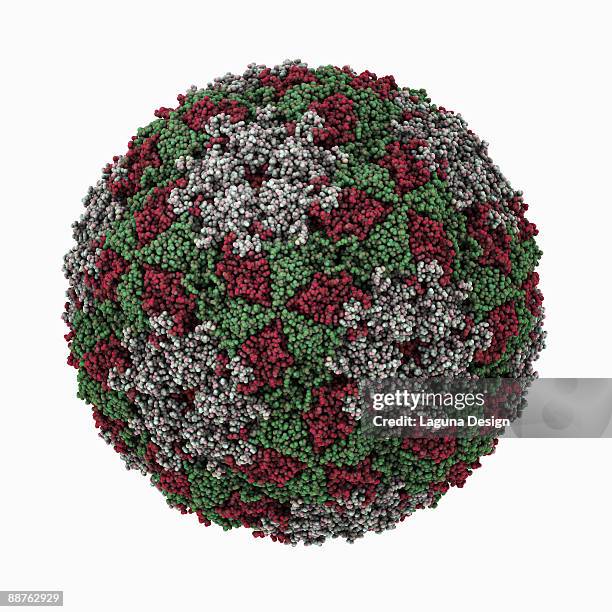 Vector Capsid Capsid Photos and Premium High Res Pictures - Getty Images