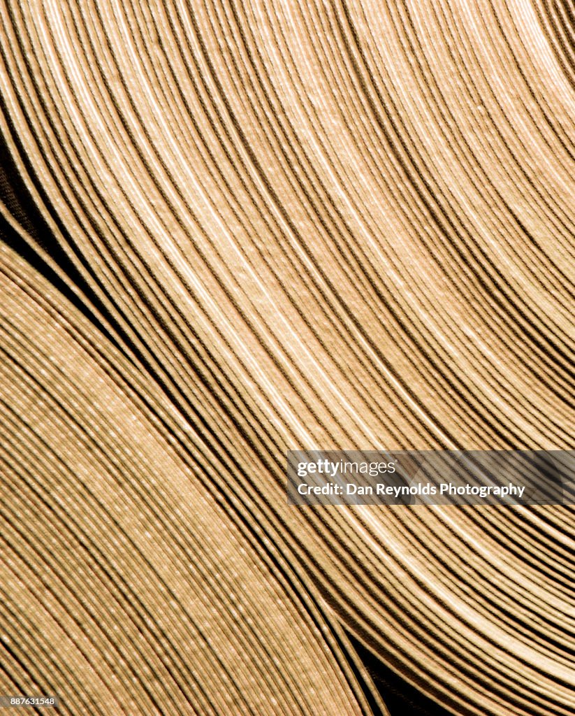 Carpet Roll as Abstract
