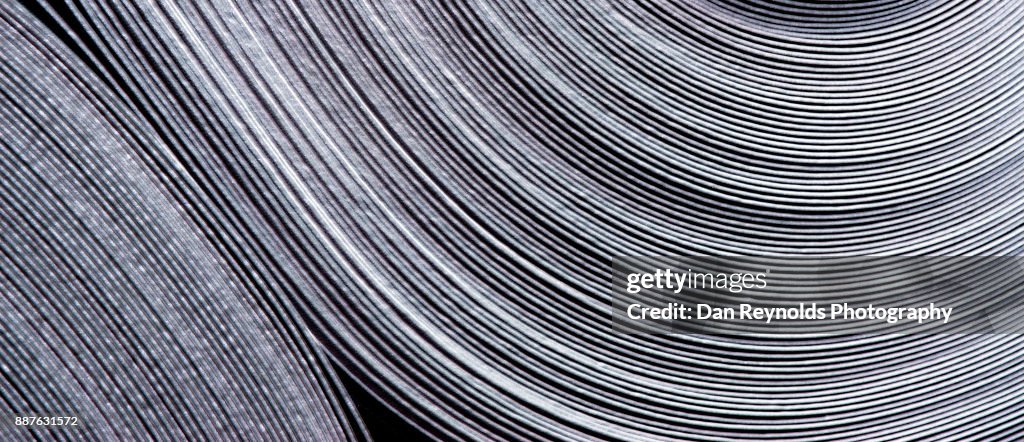 Carpet Roll as Abstract