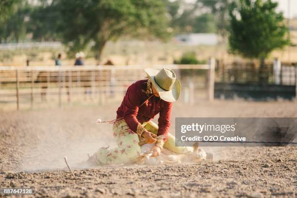 Goat Roping Runs Goat Racing Photos and Premium High Res Pictures - Getty Images