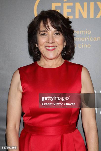 Paulina Garcia attends the Premio Iberoamericano De Cine Fenix 2017 press room at Teatro de La Ciudad on December 6, 2017 in Mexico City, Mexico.