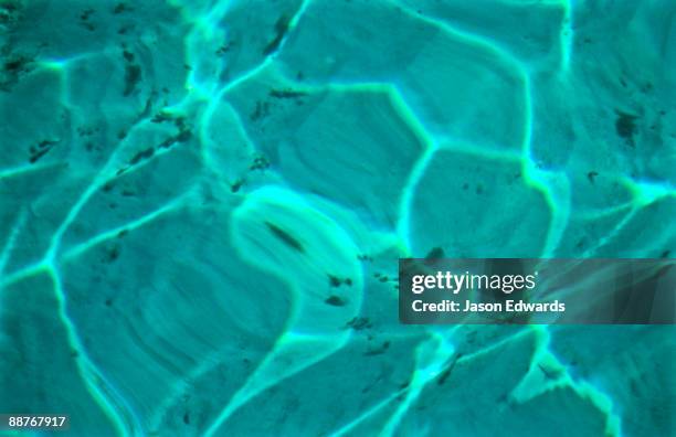 coral bay, ningaloo marine park, western australia, australia. - coral bay australie occidentale photos et images de collection