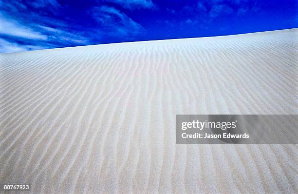 fowlers bay, south australia, australia. - white man deep etched stock-fotos und bilder