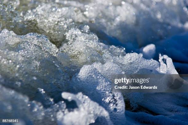 lakes entrance, victoria, australia. - lakes entrance stock pictures, royalty-free photos & images