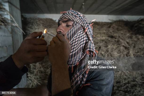 Marijuana processing warehouse in the Beqaa Valley in eastern Lebanon on November 1, 2015. Marijuana is grown openly in many areas of this 75 mile...