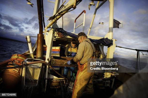 The skipper, left, and his apprentice fisherman clean their catch aboard Harvest Reaper fishing trawler approximately 18 nautical miles offshore from...