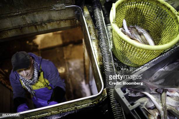 Year-old apprentice fisherman climbs out of a boat hatch beside a crate of dog fish that will be used as crab bait aboard the Harvest Reaper fishing...