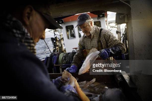 The skipper, right, and his apprentice fisherman clean their catch aboard Harvest Reaper fishing trawler approximately 18 nautical miles offshore...