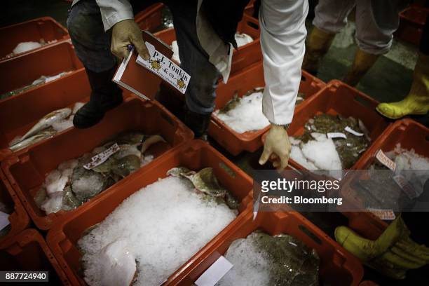 Fisherman labels a crate of fish during the auction at the fish market at Newlyn harbor in Newlyn, U.K., on Monday, Nov. 27, 2017. Prime Minister...