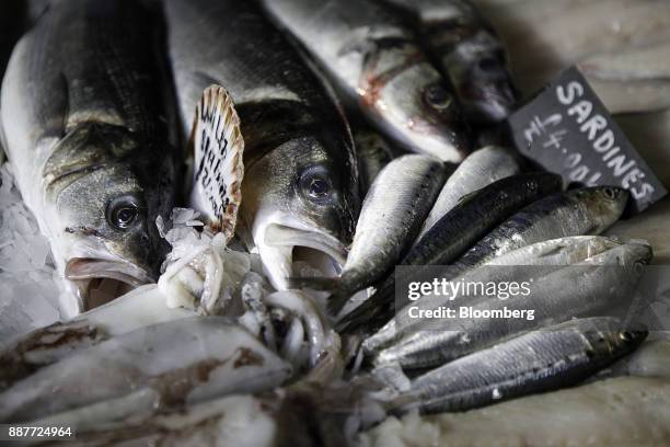 Fresh catches of sardines and wild sea bass sit on display at the Trelawney Fish & Deli fishmongers in Newlyn, U.K., on Tuesday, Nov. 28, 2017. Prime...