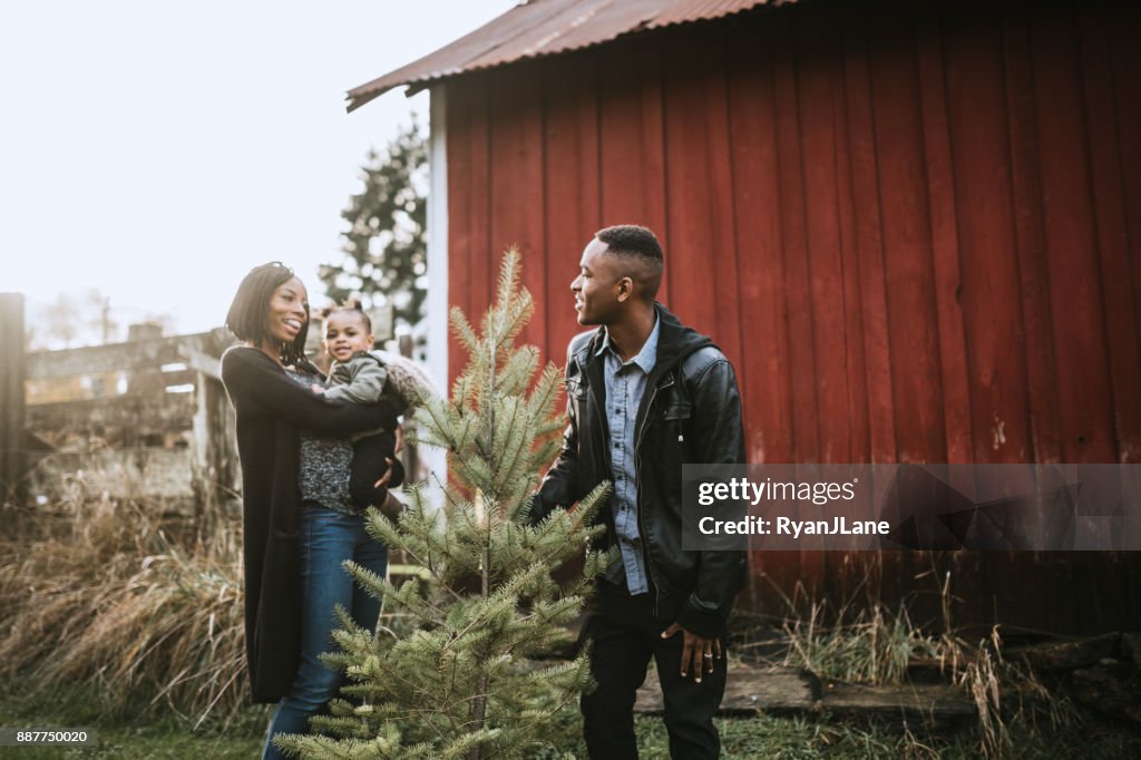 Young Family Carrying Christmas Tree