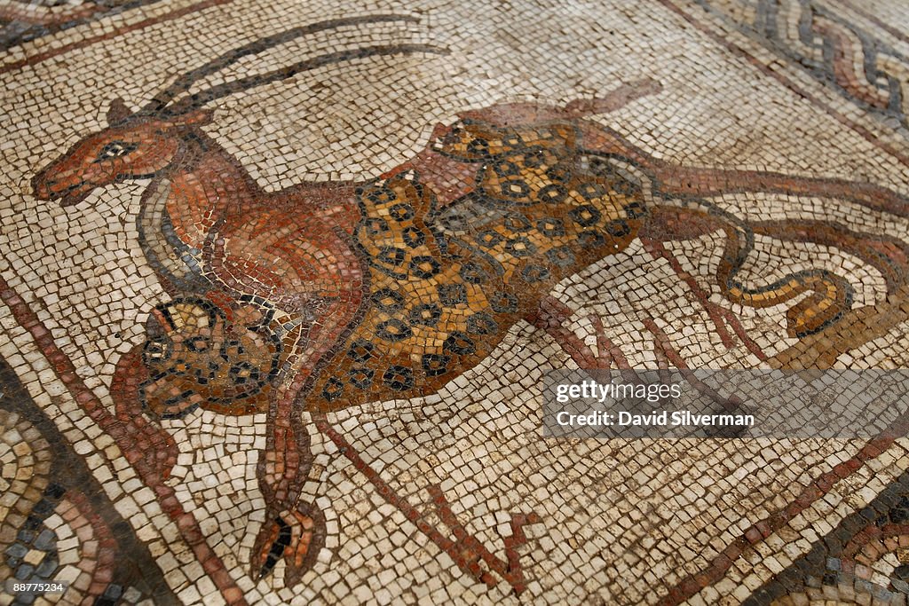 Ancient Roman Mosaic Revealed In Israel