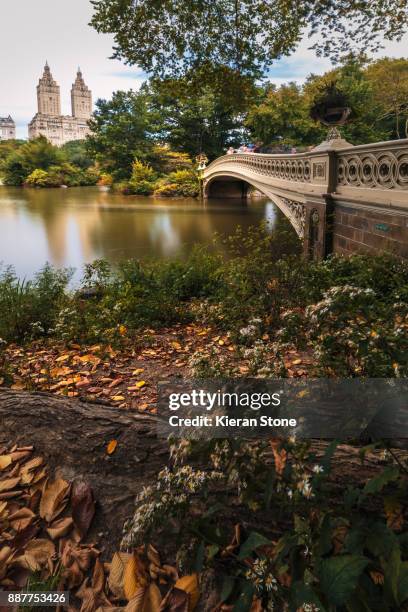 bow bridge central park - bow bridge central park stock pictures, royalty-free photos & images