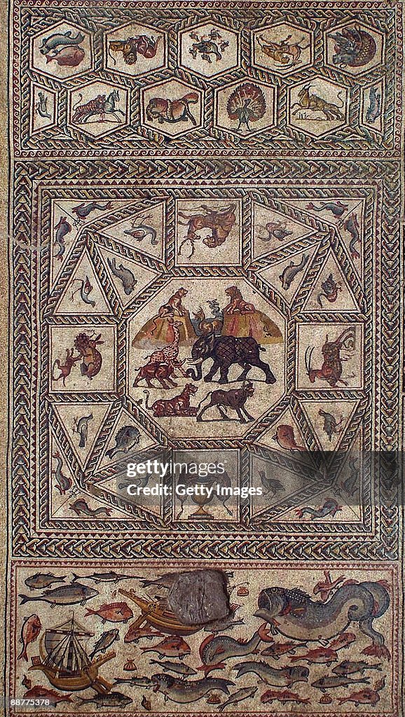 Ancient Roman Mosaic Revealed In Israel