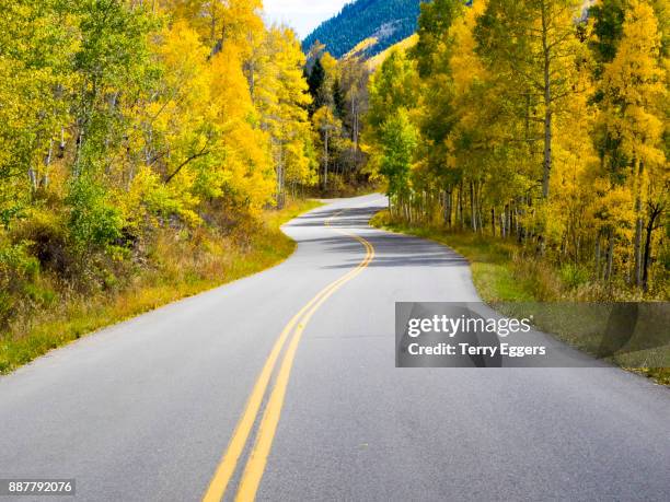 winding road through autumn aspens - forêt nationale de white river photos et images de collection