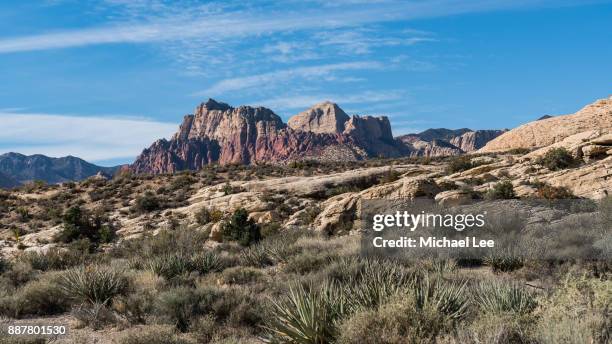 red rock canyon national conservation area - spring mountains stock pictures, royalty-free photos & images