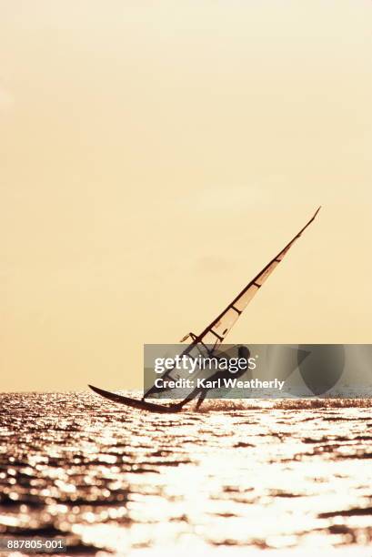 man windsurfing - aruba bildbanksfoton och bilder