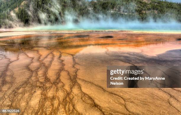 panorama yellowstone prismatic hot spring - thermophile stockfoto's en -beelden