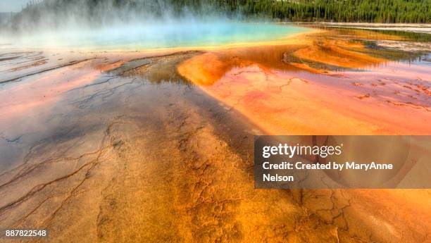 p)rismatic hot spring yellowstone panorama - thermophile stockfoto's en -beelden