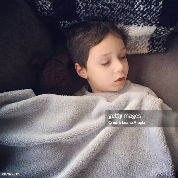nap 1 - leana alagia stock pictures, royalty-free photos & images