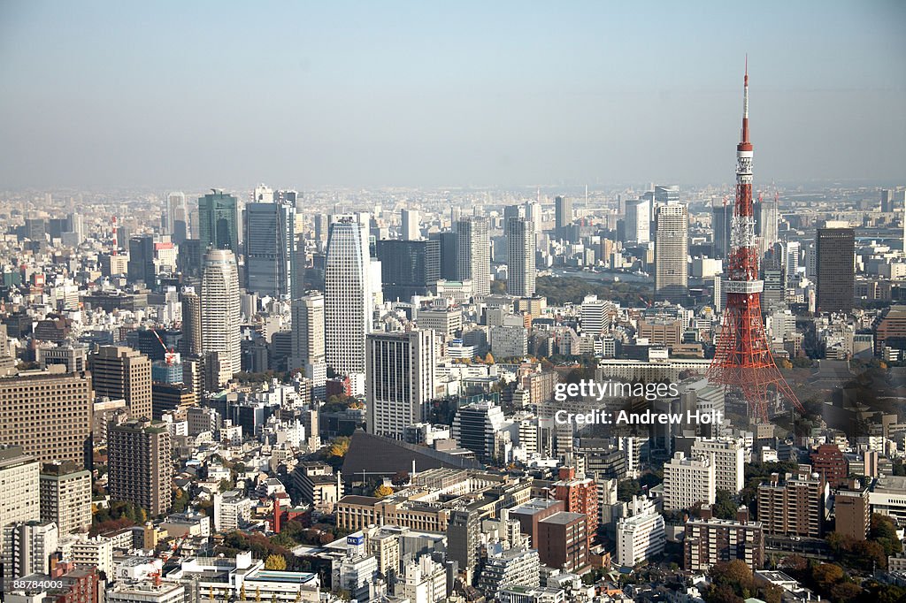 Aerial view of Tokyo, Japan.