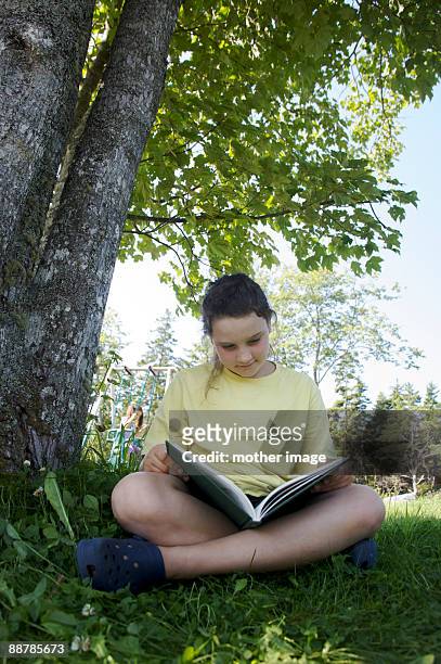 girl reading under lush green tree - vinalhaven stockfoto's en -beelden