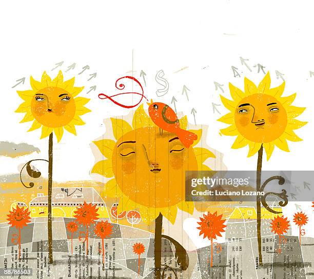 sunflowers - single sunflower stock illustrations