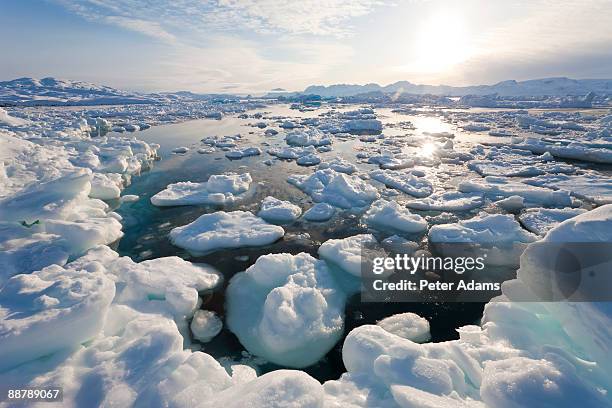 seaice in a fjord, eastern greenland - eis schmelzen stock-fotos und bilder