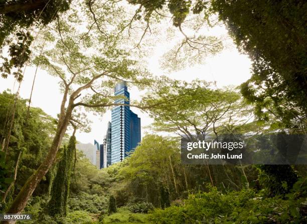 futuristic city looming over the jungle - jungle scene stockfoto's en -beelden