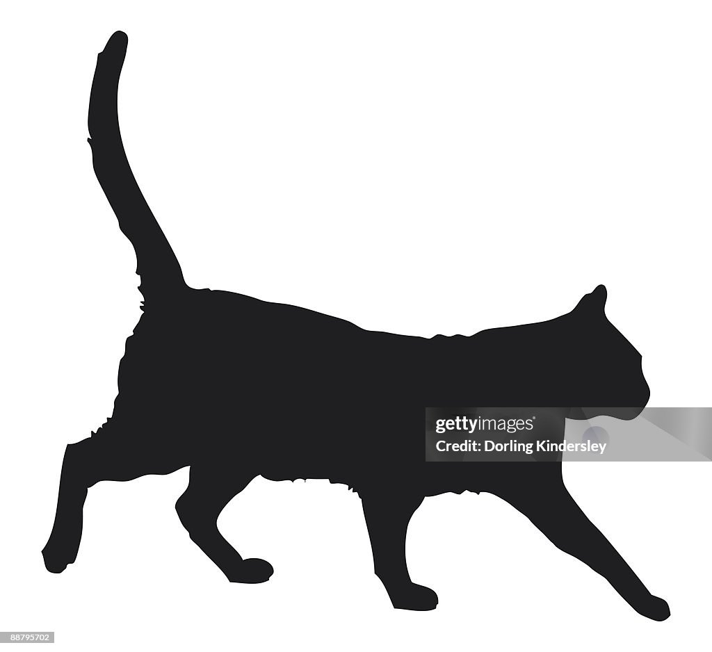 Black and white digital illustration of black domestic cat (Felis catus)