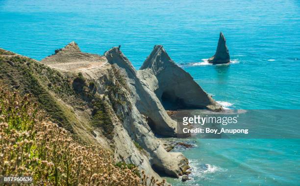 an iconic landscape of cape kidnappers in hawke's bay region of new zealand. - cape kidnappers fotografías e imágenes de stock