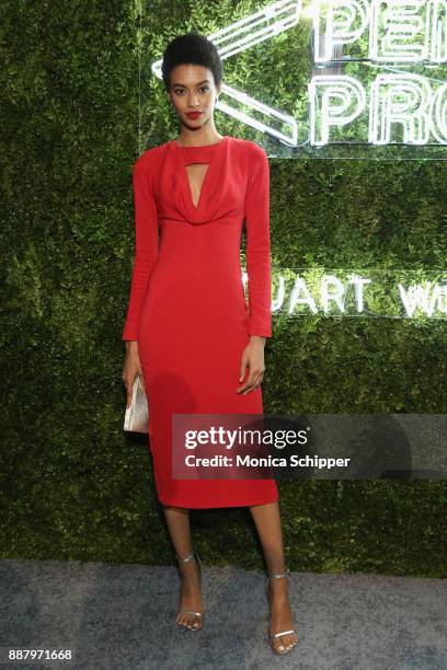 Jourdana Phillips attends the Pencils of Promise Annual Gala 2017 in Central Park on December 7, 2017 in New York City.