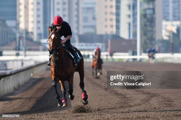 Aidan O'Brien trained Highland Reel during a Longines Hong Kong International Trackwork Session at Sha Tin racecourse on December 8, 2017 in Hong...